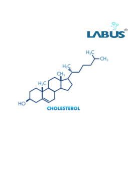 PL MOLECULAR MODEL SET − CHOLESTEROL (C₂₇H₄₆O)